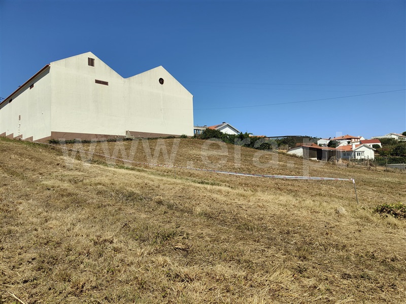 Terreno Rústico  Mafra, Azueira e Sobral da Abelheira - 1431402 - 3