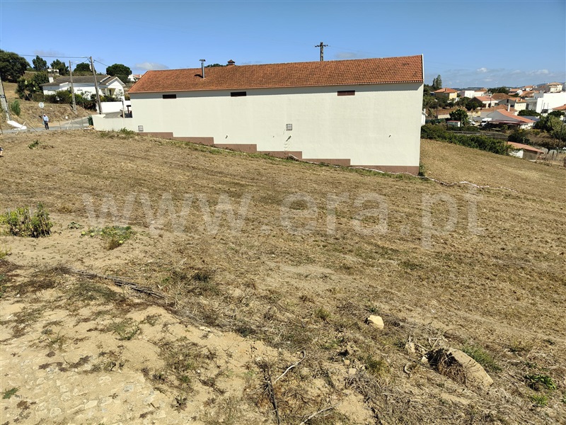 Terreno Rústico  Mafra, Azueira e Sobral da Abelheira - 1431402 - 18