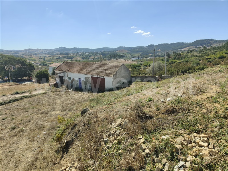 Terreno Rústico  Mafra, Azueira e Sobral da Abelheira - 1431402 - 18