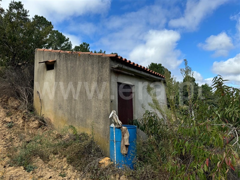 Terreno Rústico / Mafra, Azueira e Sobral da Abelheira