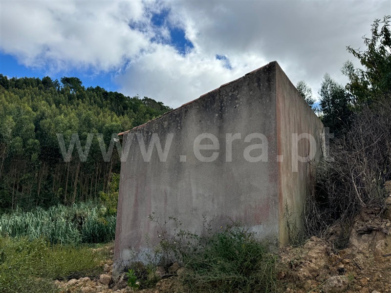 Terreno Rústico  Mafra, Azueira e Sobral da Abelheira - 1436719 - 8