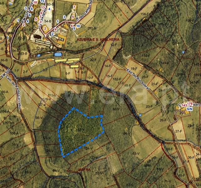 Terreno Rústico / Mafra, Azueira e Sobral da Abelheira