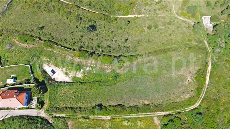 Terreno Rústico  Mafra, Carvoeira, Mafra - 1236748 - 25