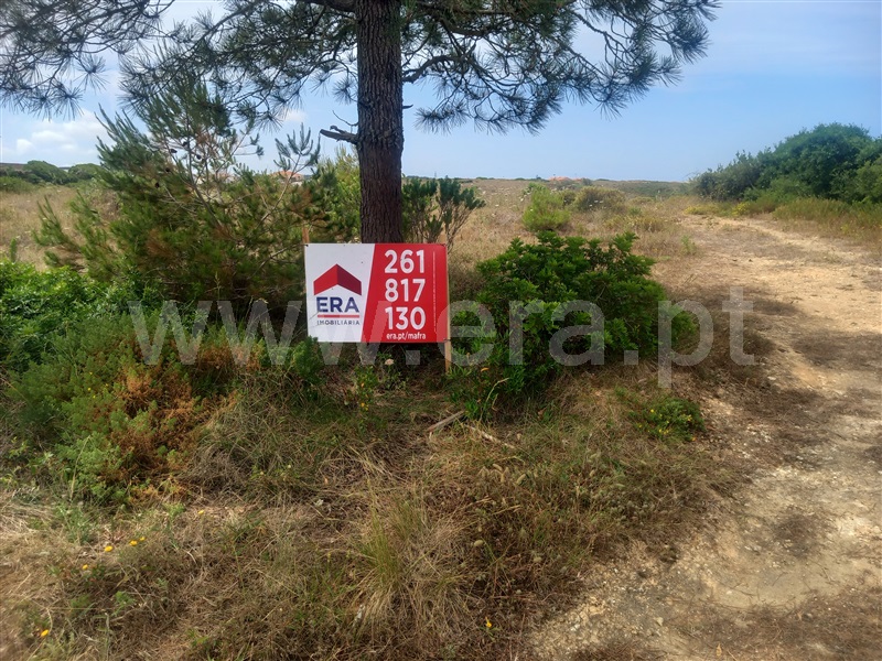Terreno Rústico  Mafra, Carvoeira, Mafra - 1236749 - 25