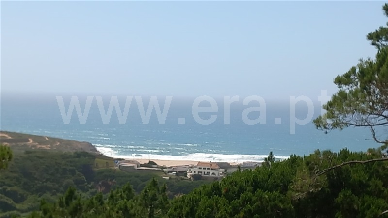 Terreno Rústico / Mafra, Carvoeira, Mafra