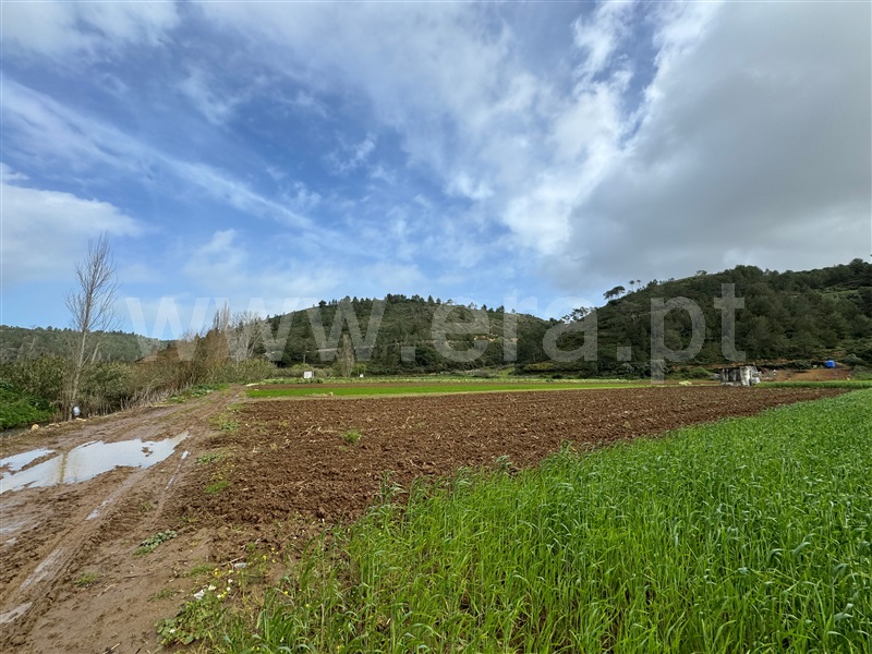 Terreno Rústico  Mafra, Carvoeira - 1264286 - 3
