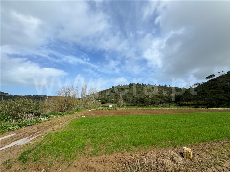 Terreno Rústico  Mafra, Carvoeira - 1264286 - 4