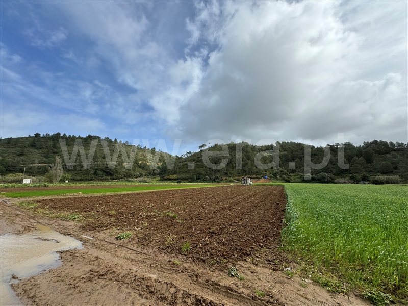 Terreno Rústico / Mafra, Carvoeira
