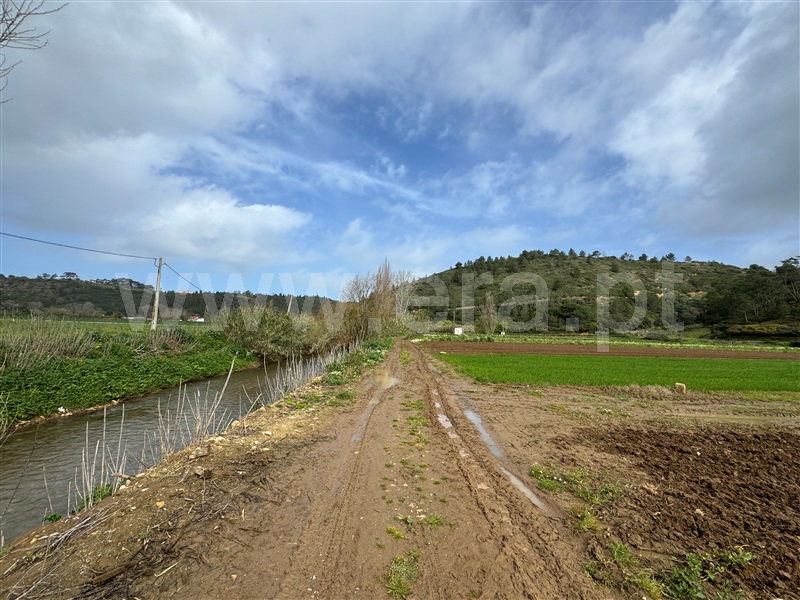 Terreno Rústico  Mafra, Carvoeira - 1264286 - 8