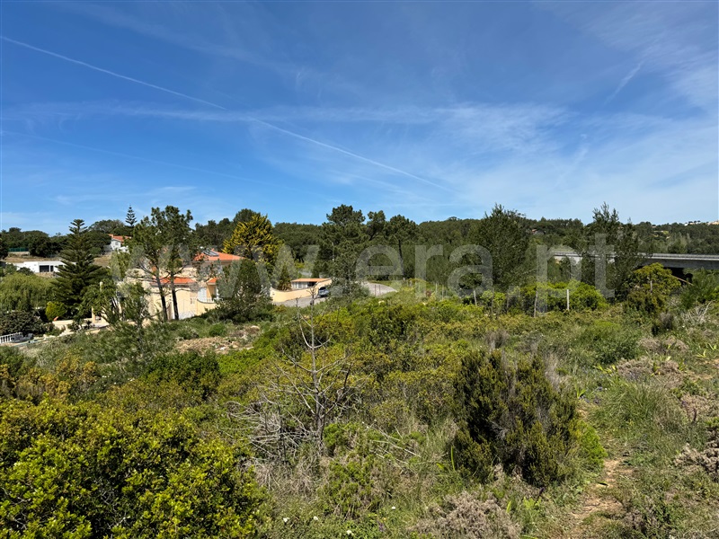 Terreno Rústico  Mafra, Carvoeira - 1264287 - 8