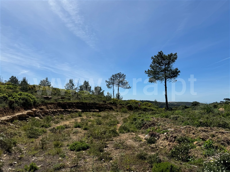 Terreno Rústico  Mafra, Carvoeira - 1264287 - 11