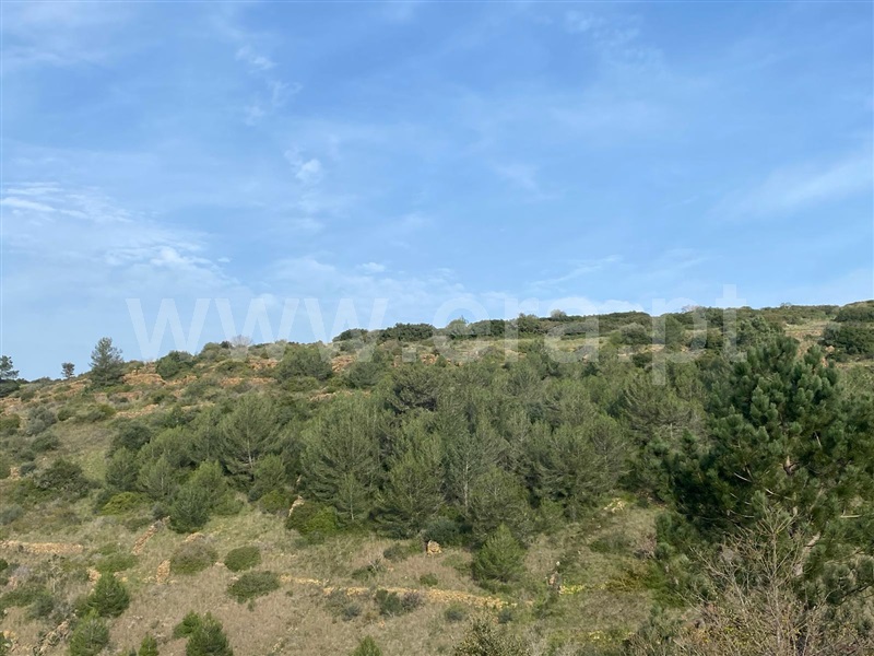 Terreno Rústico / Mafra, Cheleiros, Mafra