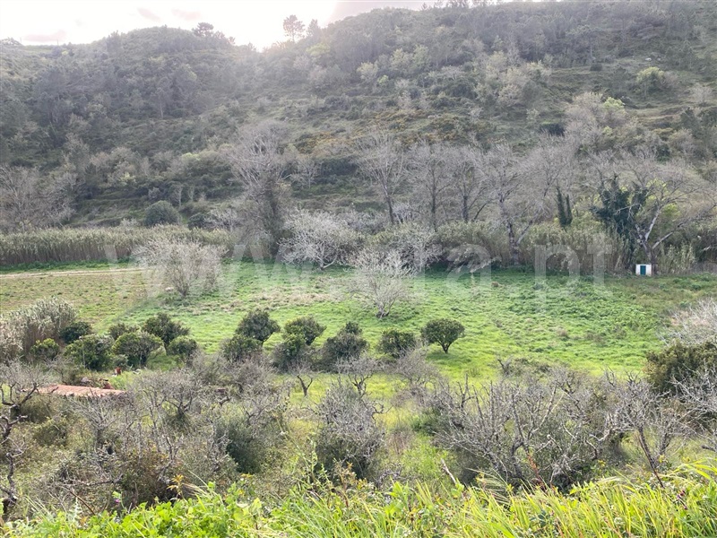 Terreno Rústico / Mafra, Cheleiros, Mafra