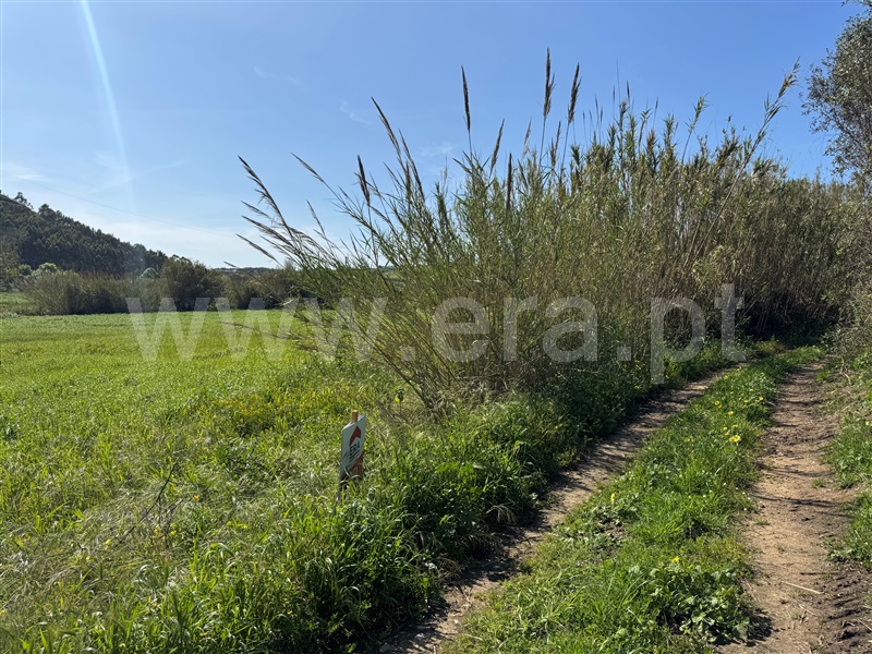 Terreno Rústico  Mafra, Encarnação, Mafra - 1266851 - 12