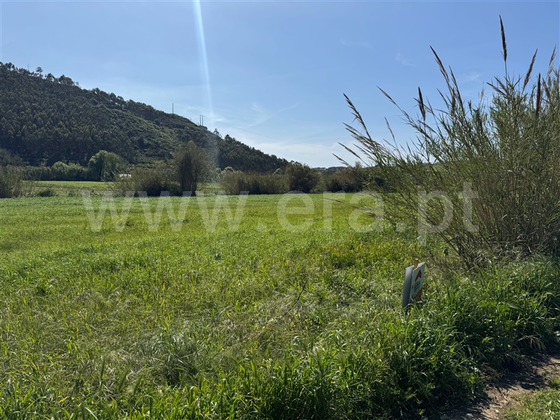 Terreno Rústico  Mafra, Encarnação, Mafra - 1266851 - 13