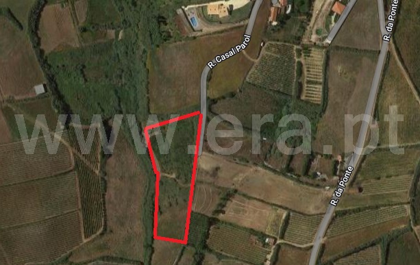 Terreno Rústico  Mafra, Encarnação - 1284475 - 15
