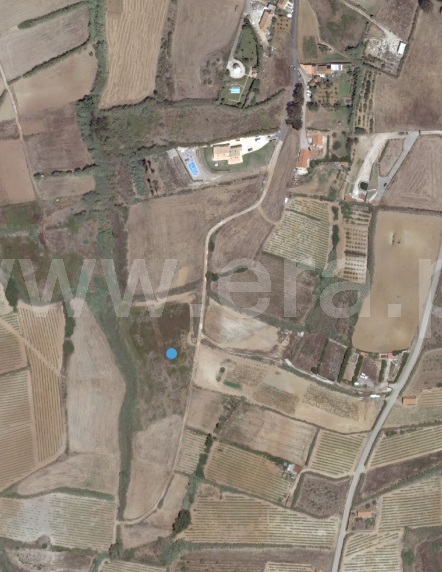 Terreno Rústico  com Agrícola Mafra, Encarnação, Mafra - 1284475 - 10