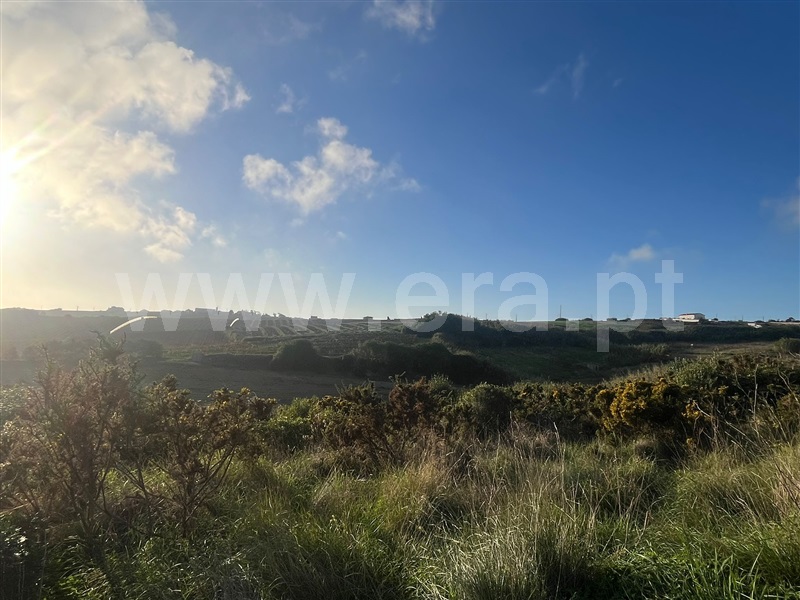 Terreno Rústico  com Agrícola Mafra, Encarnação, Mafra - 1284475 - 13