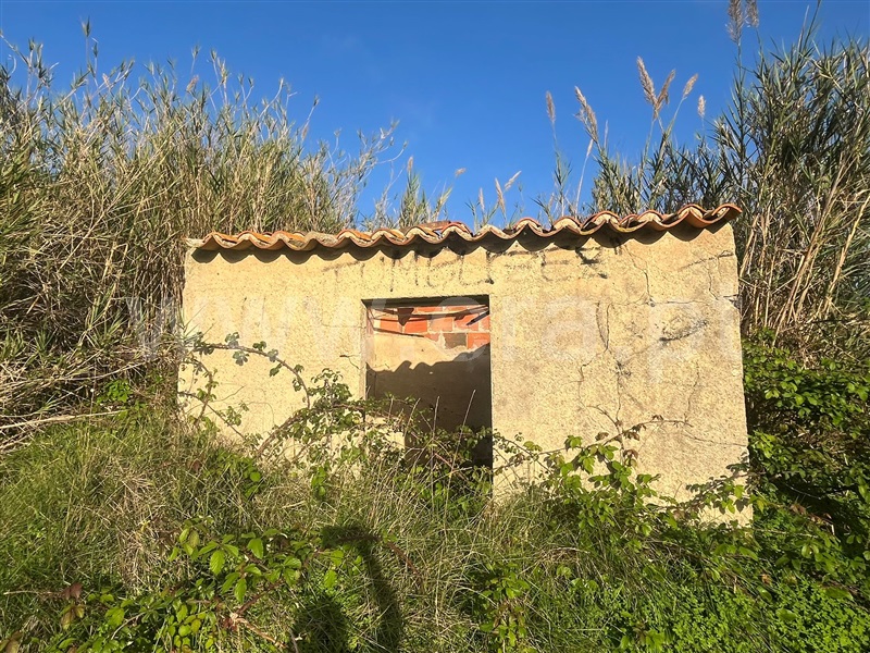 Terreno Rústico  com Agrícola Mafra, Encarnação, Mafra - 1284475 - 15