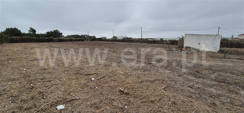 Terreno Rústico  Mafra, Encarnação - 1500069 - 2