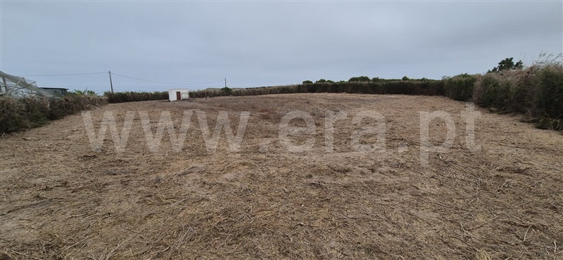 Terreno Rústico  Mafra, Encarnação - 1500069 - 7