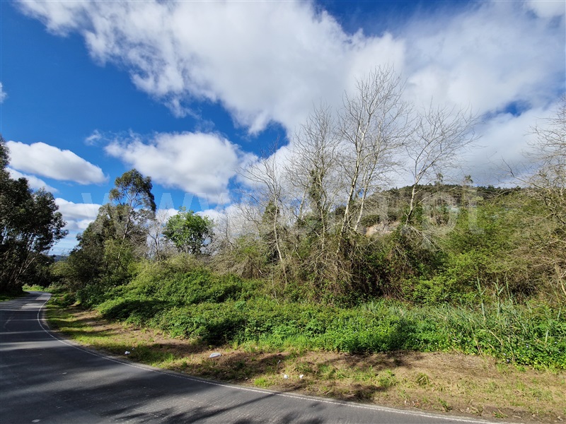 Terreno Rústico  com Rústico Mafra, Gradil, Mafra - 1296463 - 6