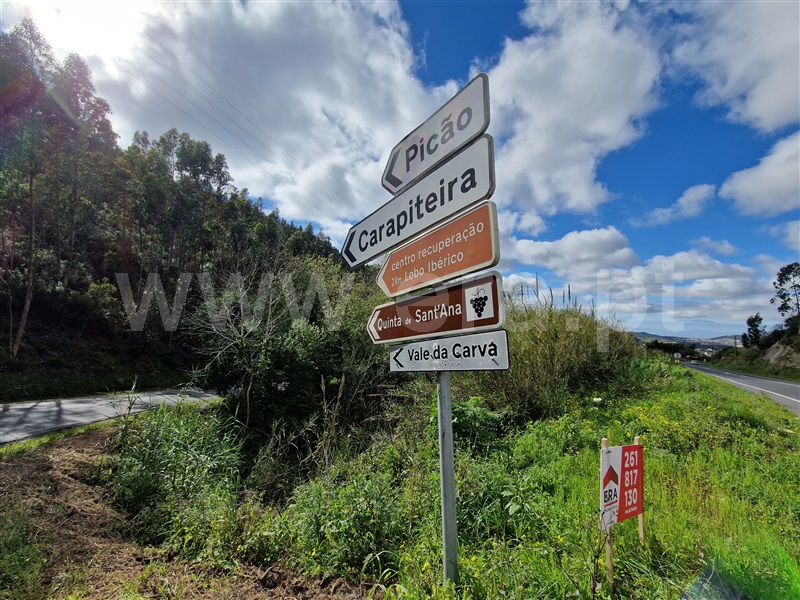 Terreno Rústico  com Rústico Mafra, Gradil, Mafra - 1296463 - 21