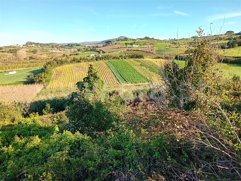 Terreno Rústico / Mafra, Gradil, Mafra
