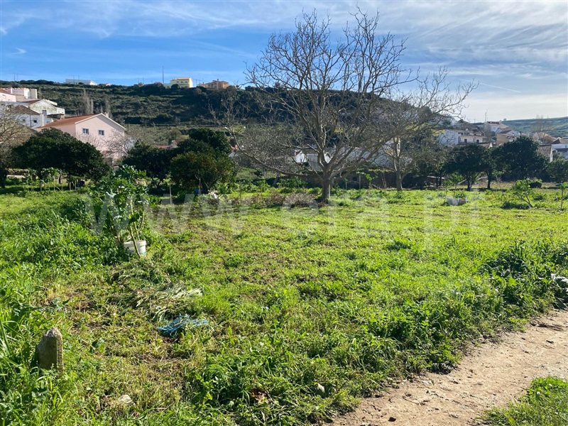 Terreno Rústico / Mafra, Igreja Nova e Cheleiros