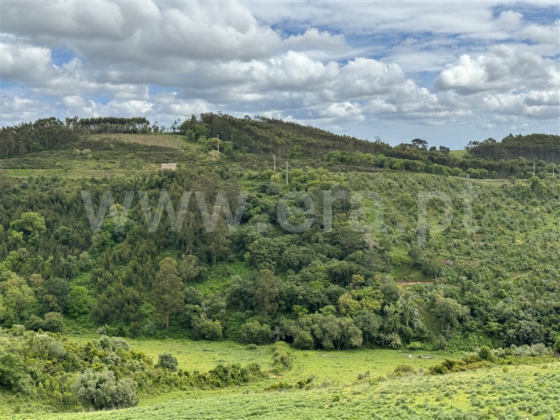 Terreno Rústico  Mafra, Igreja Nova, Mafra - 1341411 - 10