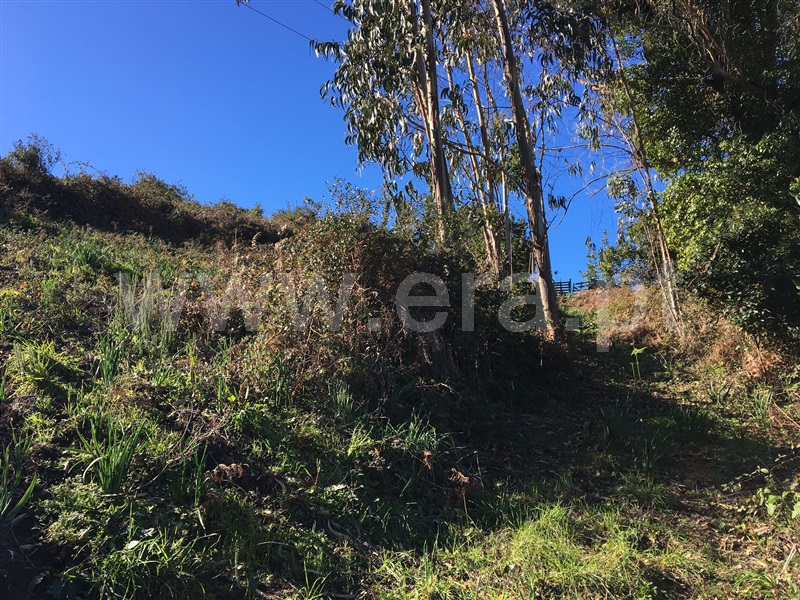 Terreno Rústico  Mafra, Igreja Nova, Mafra - 996977 - 28