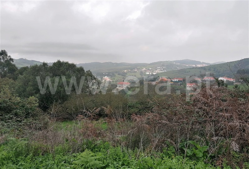 Terreno Rústico  Mafra, Igreja Nova, Mafra - 996977 - 20