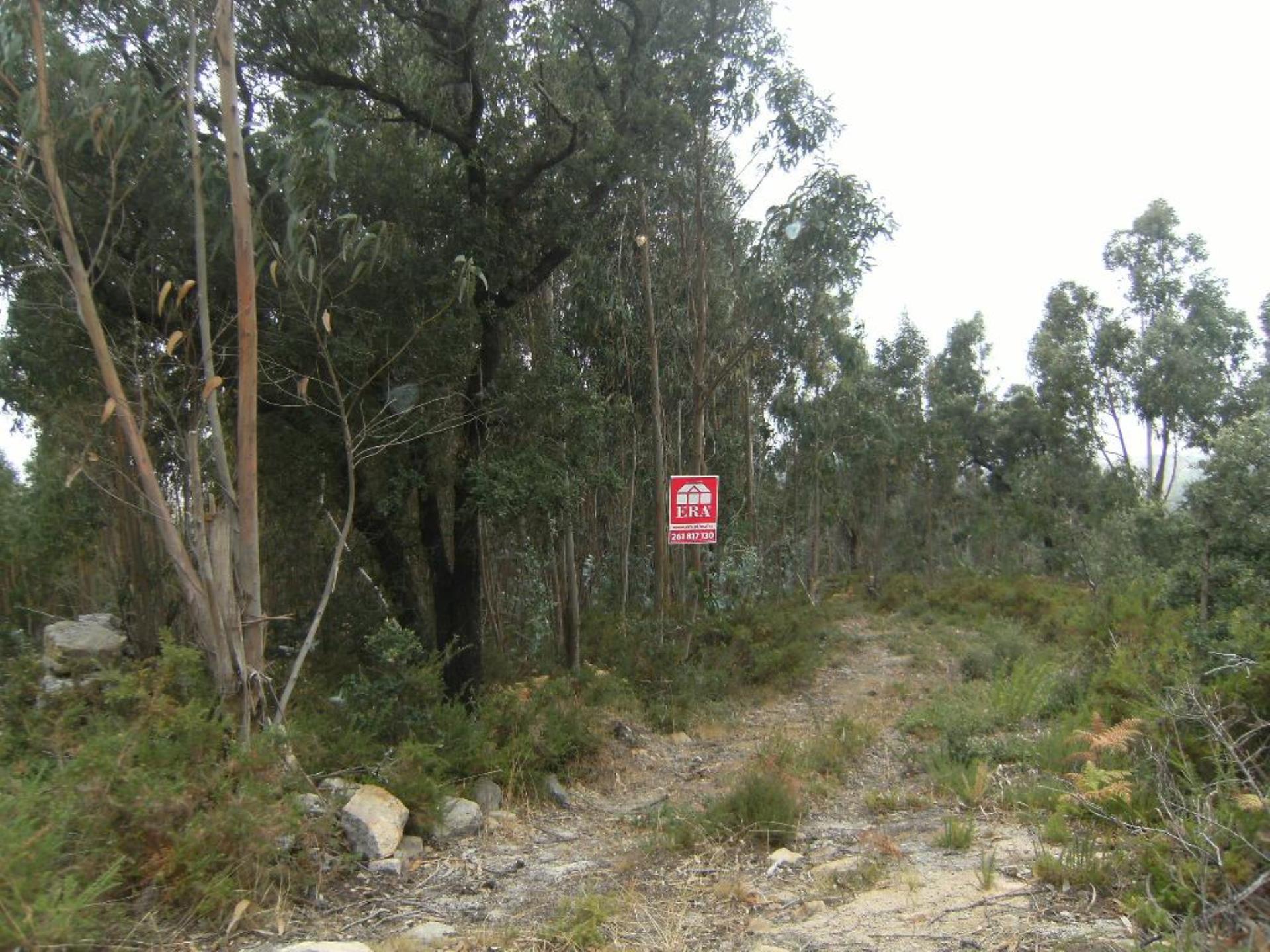 Land for sale in Mafra, Portugal — €81,000