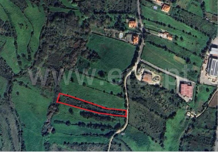 Terreno Rústico  Mafra, Malveira e São Miguel de Alcainça - 1484296 - 4