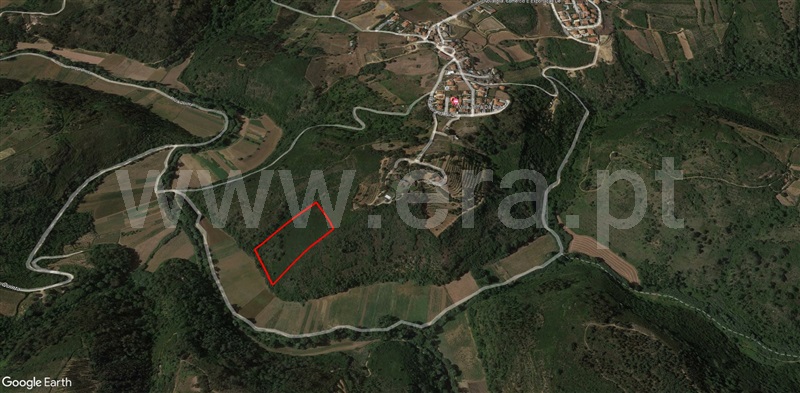 Terreno Rústico / Mafra, Mafra Periferia