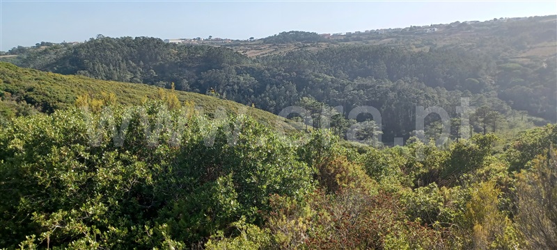 Terreno Rústico  Mafra, Mafra Periferia - 1105471 - 9