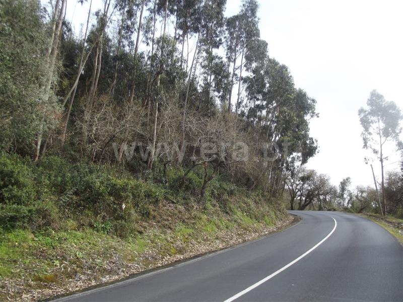 Terreno Rústico  Mafra, Mafra Periferia - 798093 - 2