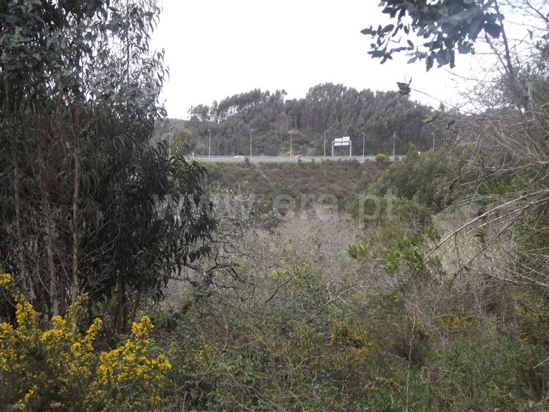 Terreno Rústico  Mafra, Mafra Periferia - 798093 - 7