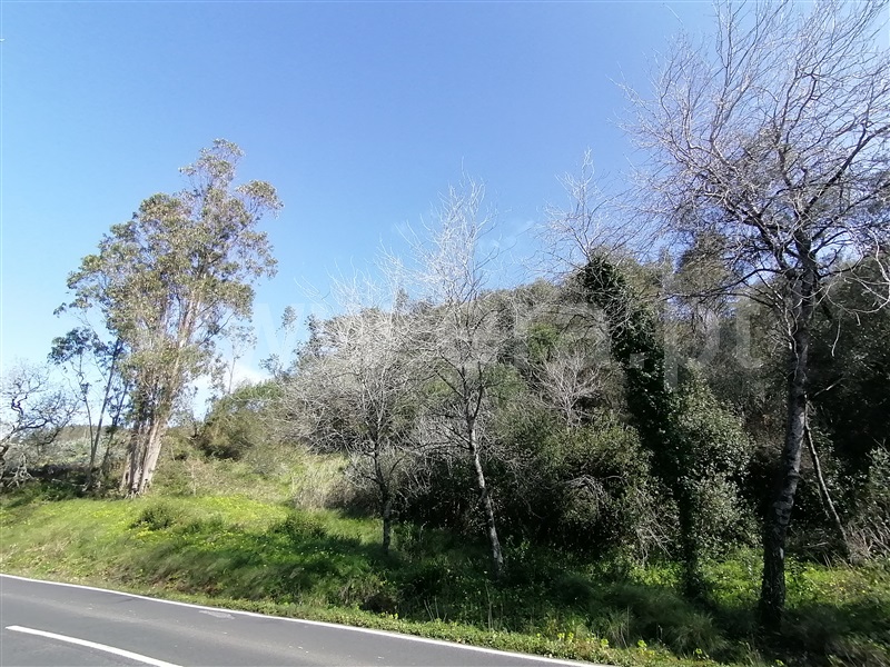 Terreno Rústico  Mafra, Mafra Periferia - 798093 - 12
