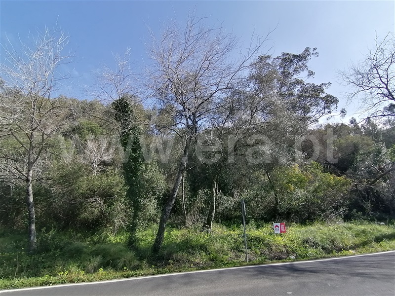 Terreno Rústico  Mafra, Mafra Periferia - 798093 - 13