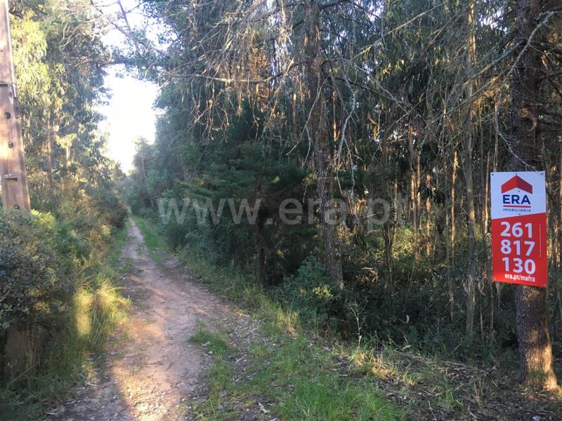 Terreno Rústico  Mafra, Mafra Periferia - 807759 - 2