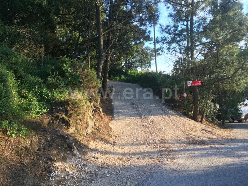 Terreno Rústico  Mafra, Mafra Periferia - 807759 - 8