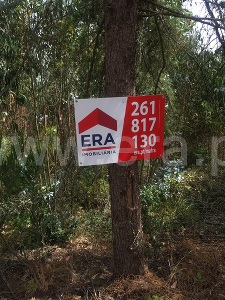 Terreno Rústico  Mafra, Mafra Periferia - 807759 - 1