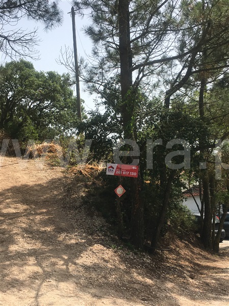 Terreno Rústico  Mafra, Mafra Periferia - 807759 - 9
