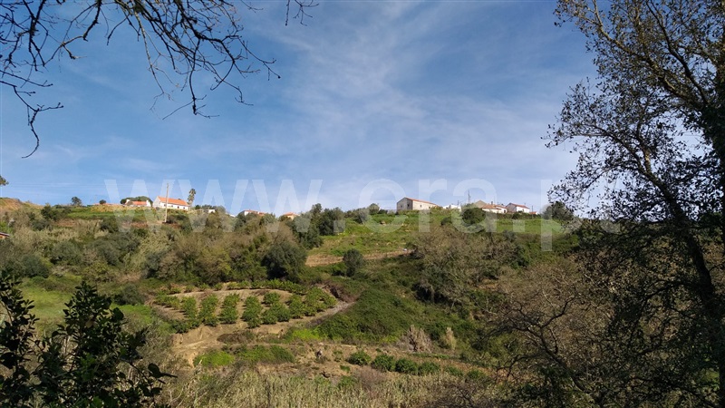 Terreno Rústico  Mafra, Santo Isidoro, Mafra - 1386967 - 7
