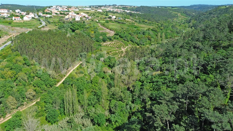 Terreno Rústico  Mafra, Santo Isidoro, Mafra - 1386967 - 24