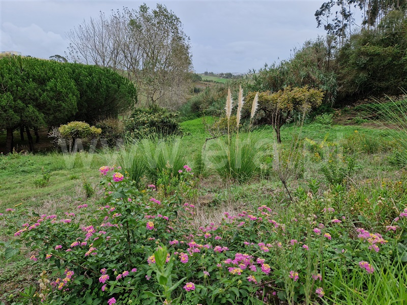 Terreno Rústico / Mafra, Santo Isidoro, Mafra