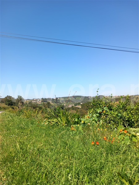 Terreno Rústico / Mafra, Santo Isidoro, Mafra