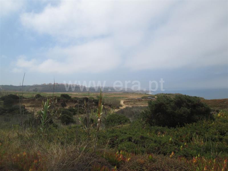 Terreno Rústico  Mafra, Santo Isidoro, Mafra - 832309 - 11