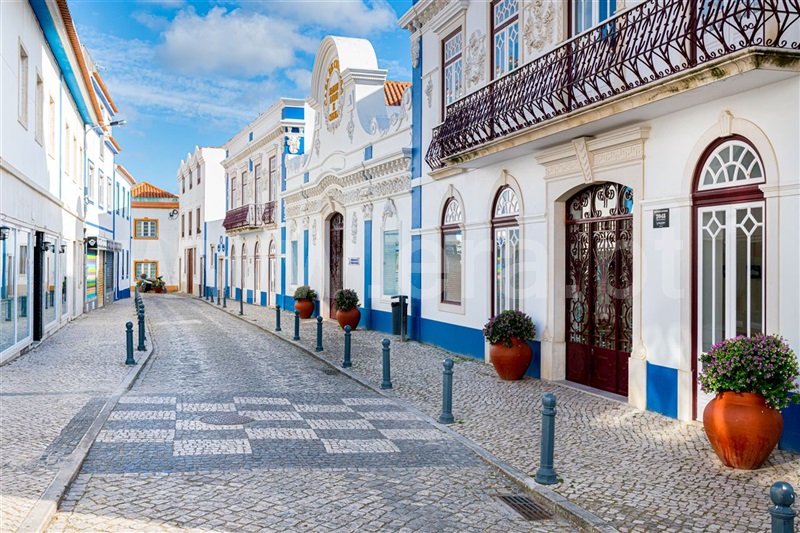 Terreno Rústico  Mafra, Santo Isidoro - 1391306 - 13